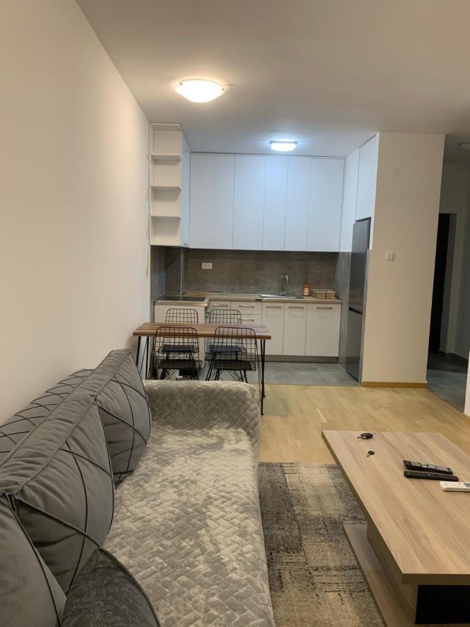 Apartment 45M2 ポドゴリツァ エクステリア 写真