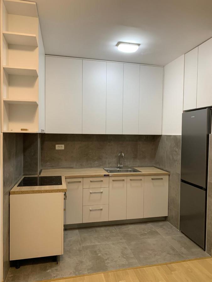 Apartment 45M2 ポドゴリツァ エクステリア 写真